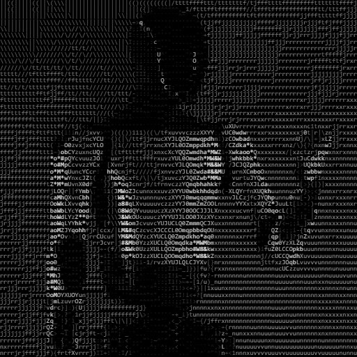 ASCII portrait logo for Digital Optimus